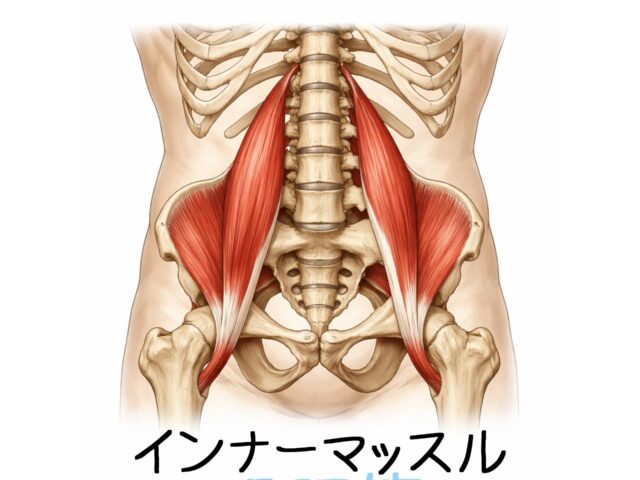 身体の不調は支える筋肉の弱化かも？